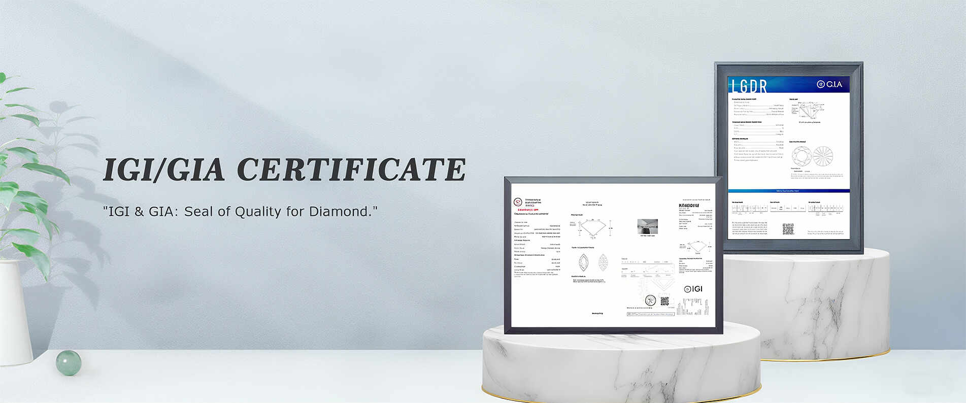 Zhengzhou Chenjing International Trade Co., Ltd